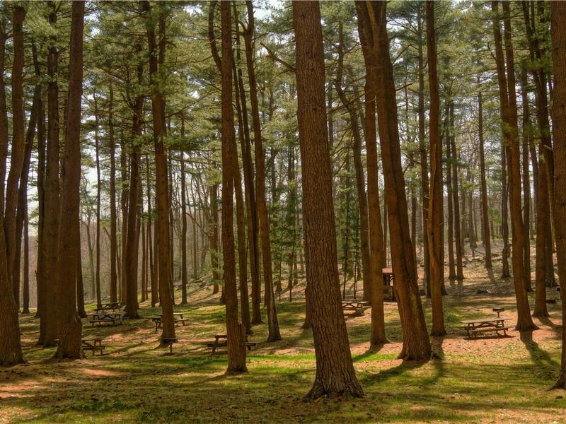 sudoku sum sudoku screenshot 1