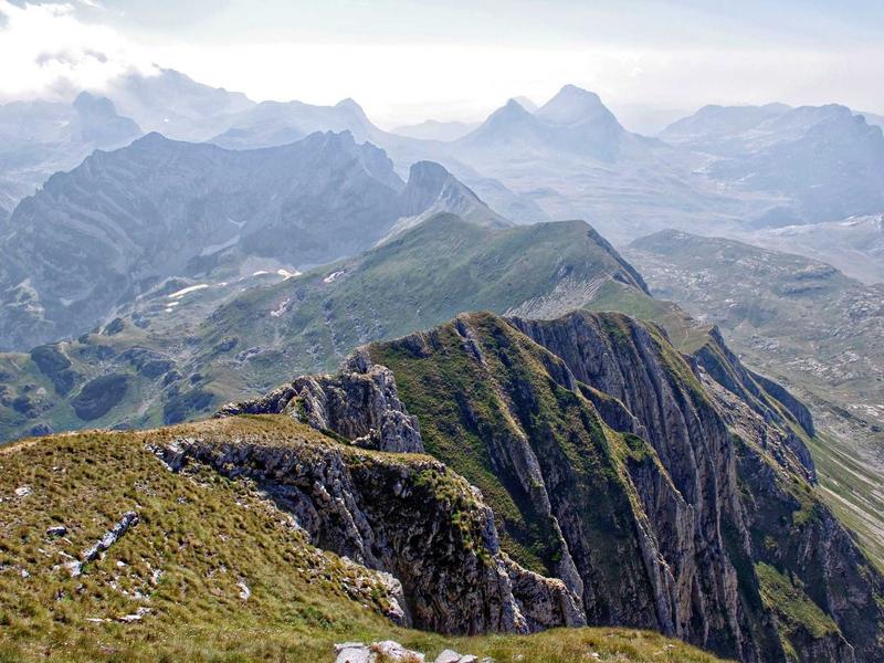 sudoku multiplayer mode screenshot 1