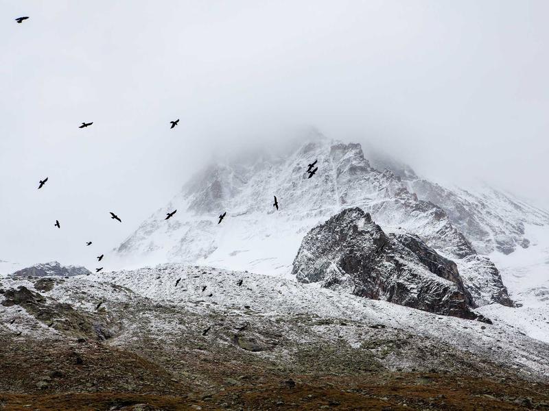 sudoku sum sudoku screenshot 3